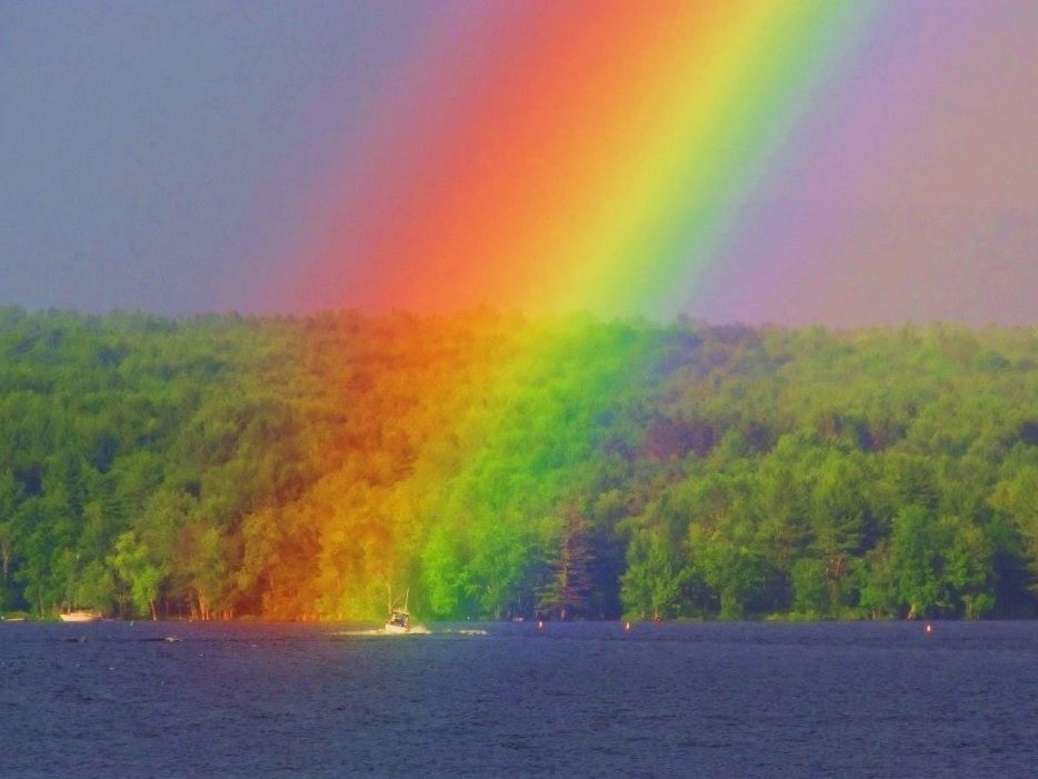 Berkshire Rainbow