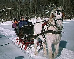 norfolk sleigh rides
