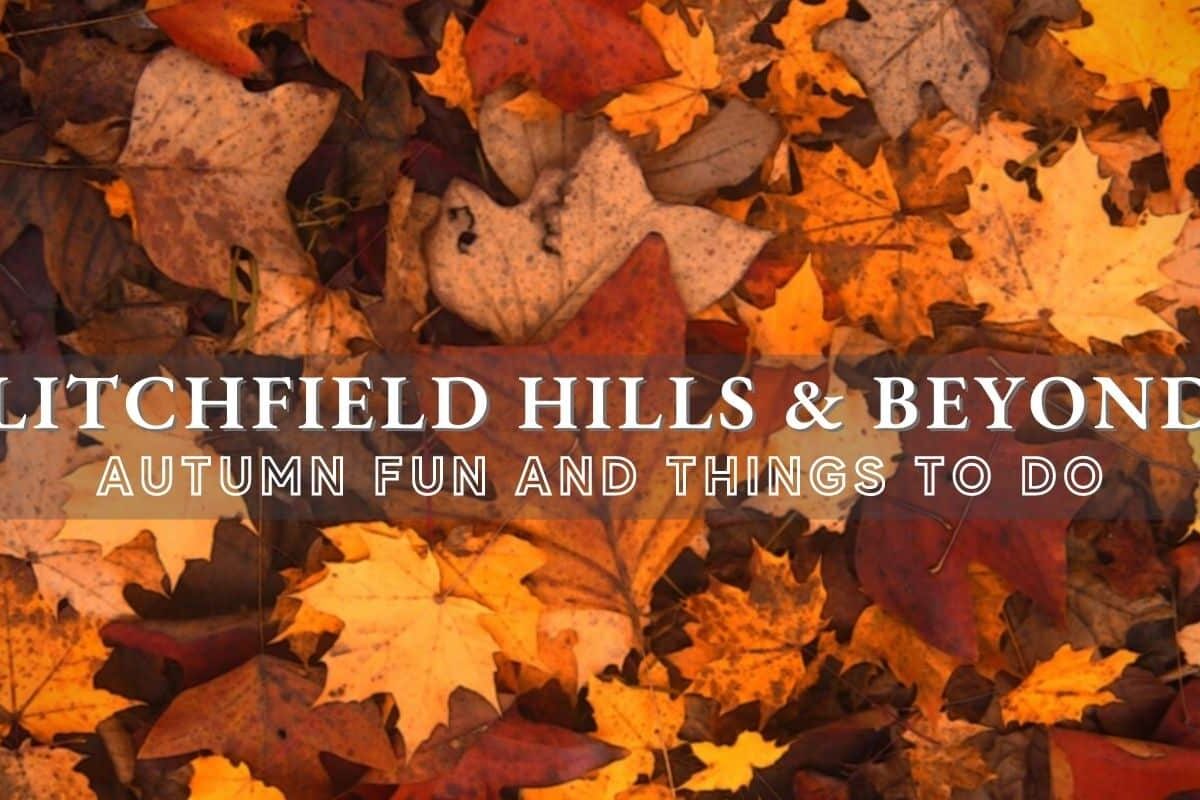 Litchfield Hills and Beyond: Autumn Fun and Things to Do