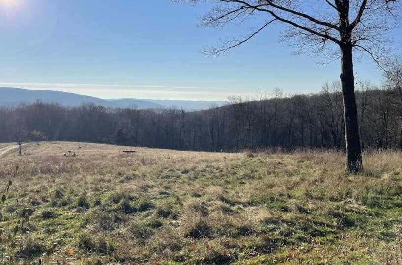 Land For Sale in Millerton New York | Dutchess County
